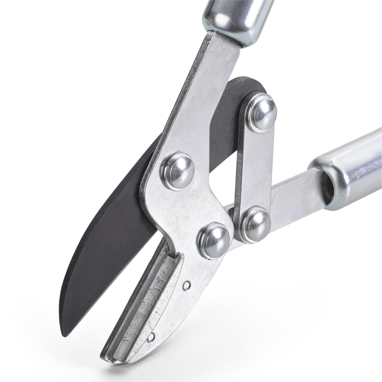 Anvil lopping shears