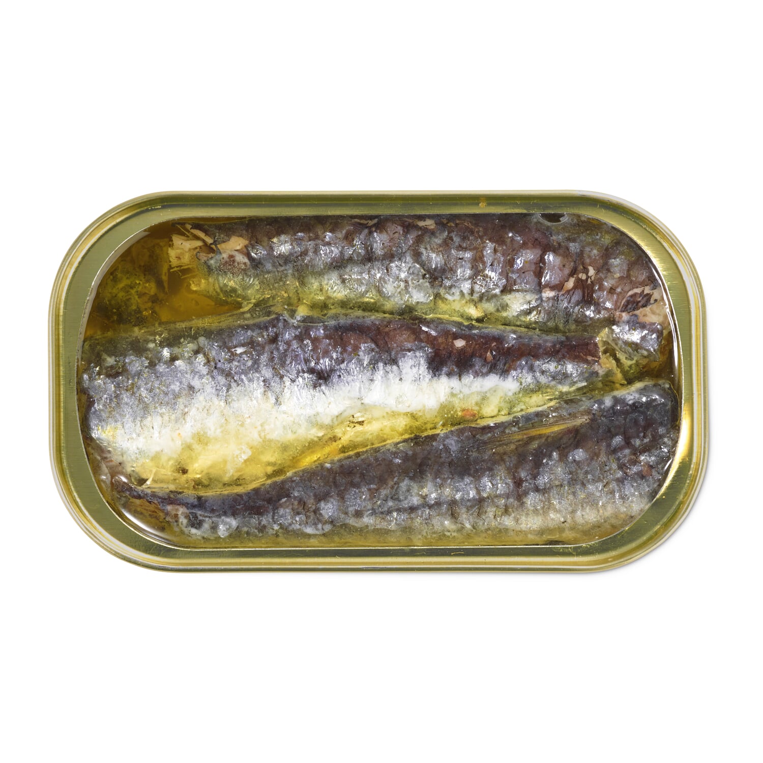 Sardines in olive oil