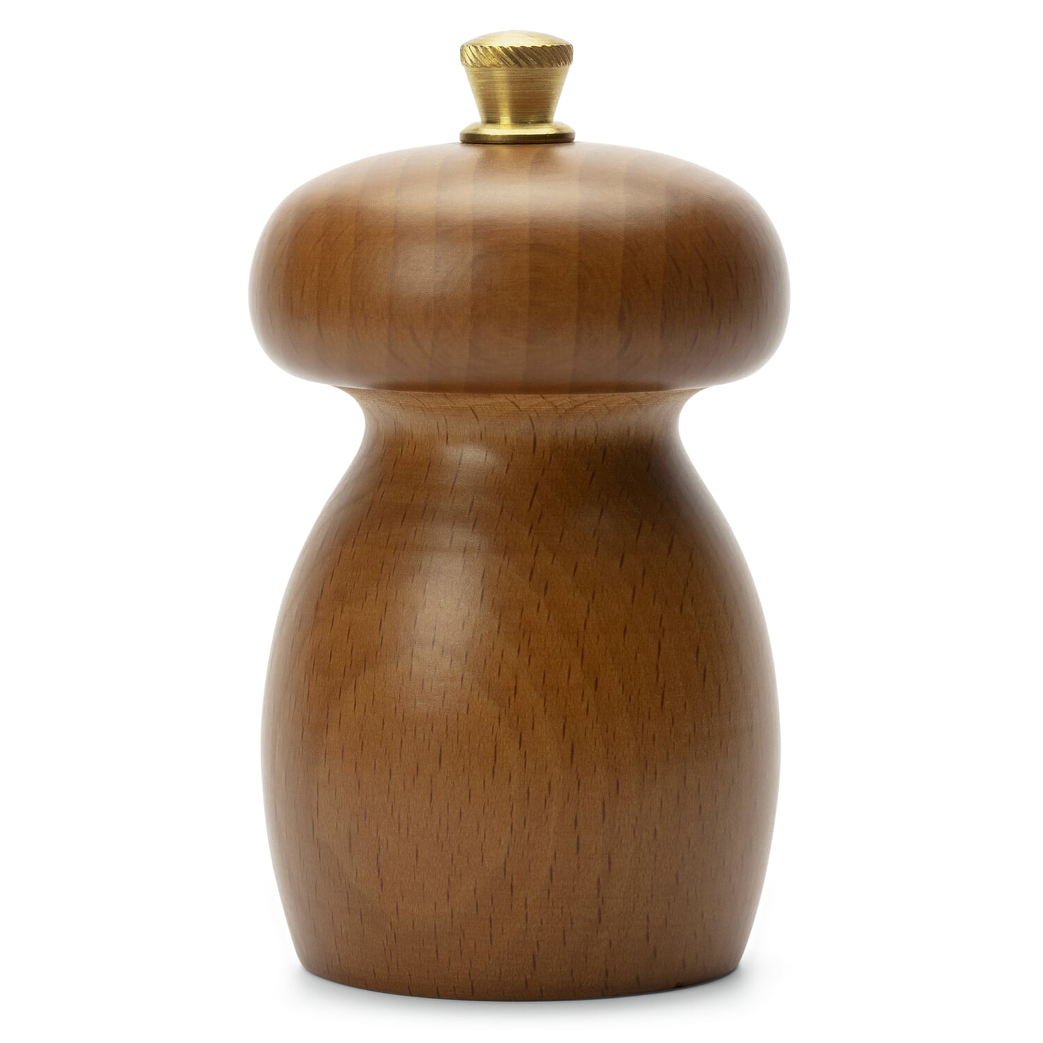 Italian spice mill Fungus