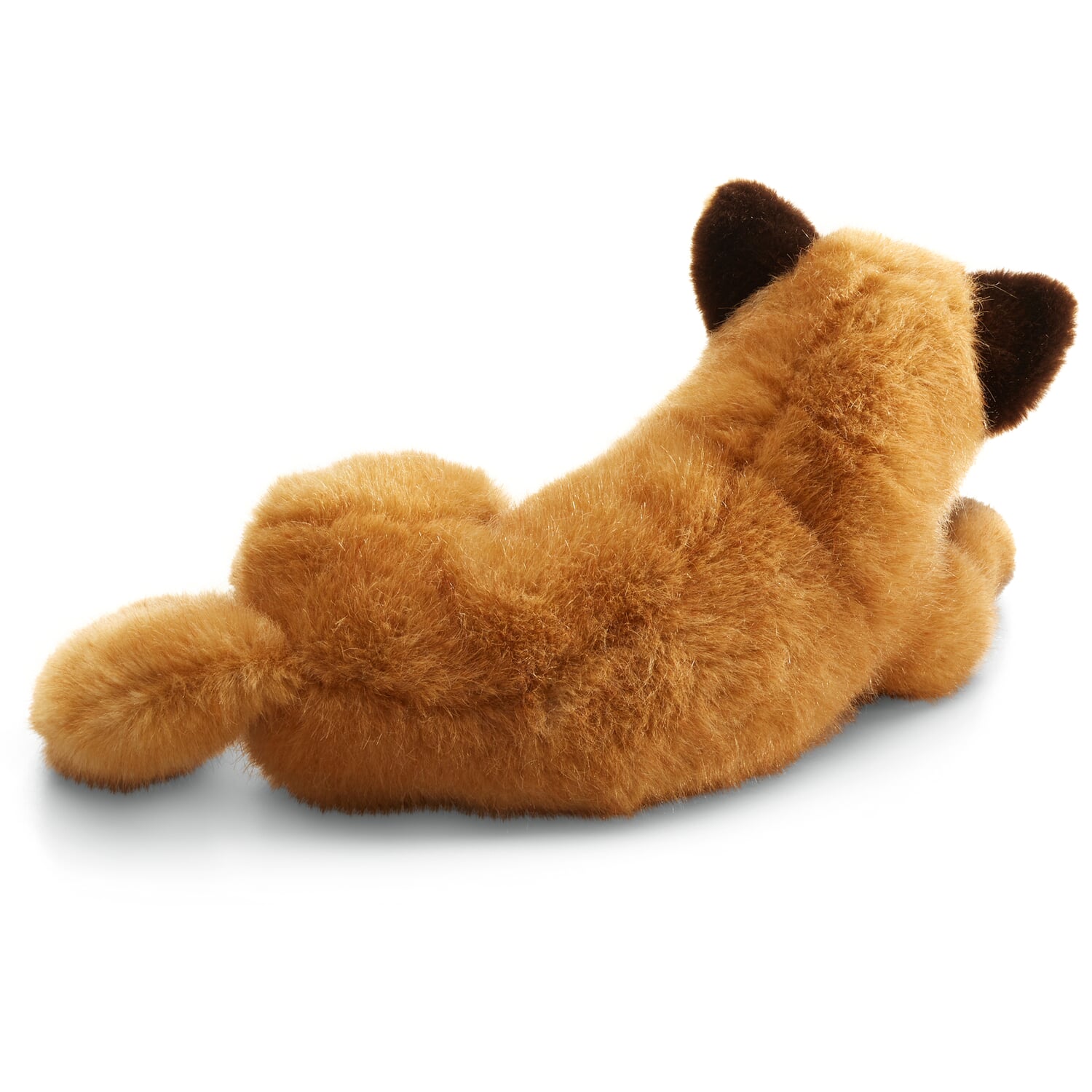 K?sen fox lying down