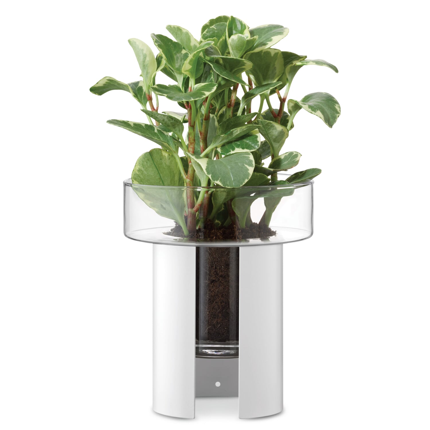 Terrazza planter