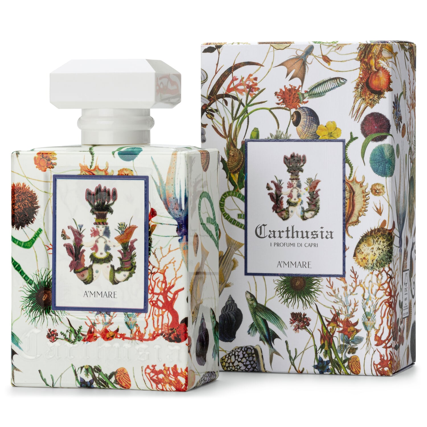 A'mmare Eau de Parfum