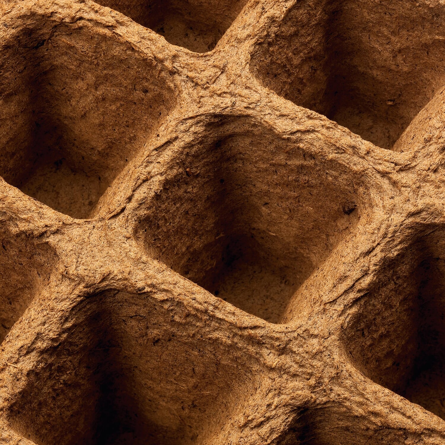 Seeding boards wood fiber