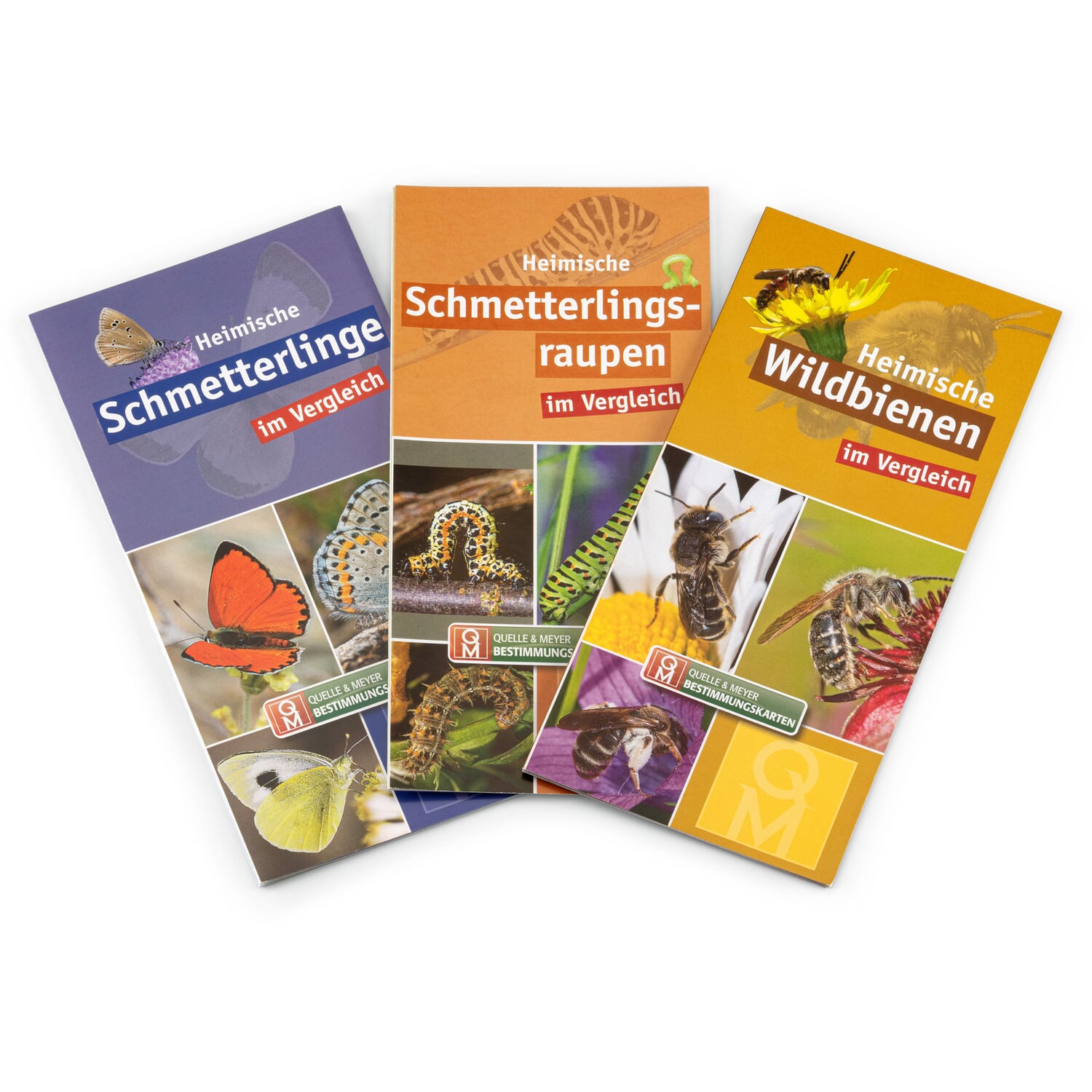 Insect identification cards (3 pieces)