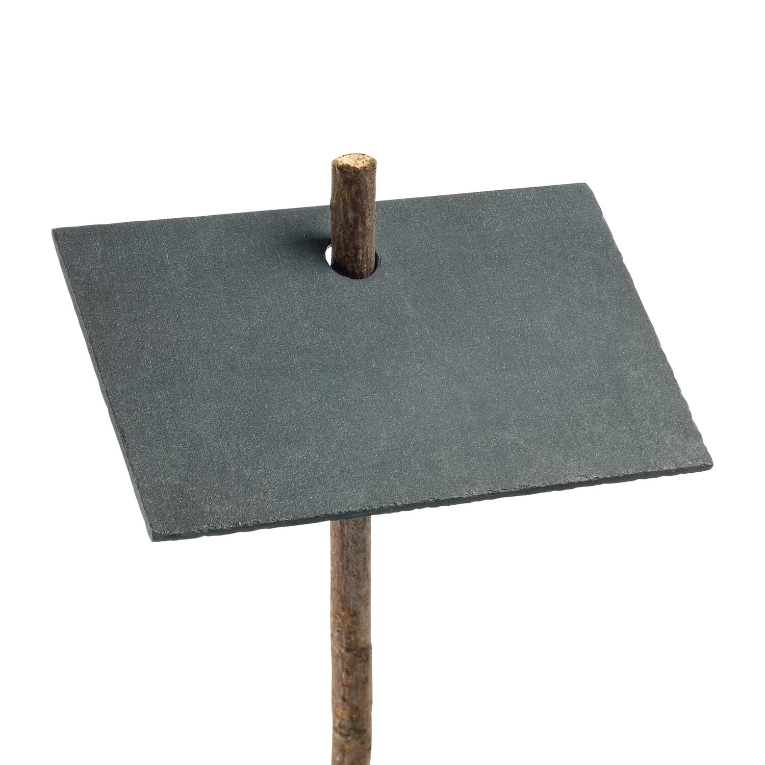 Plant signs slate