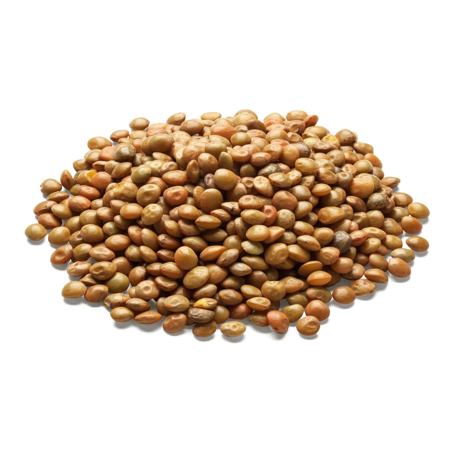 Organic Alb-Leisa Sp?th's Alblinse small