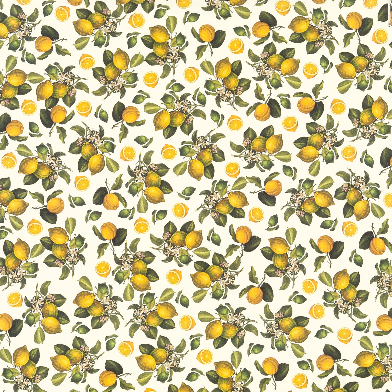 Florentine paper pimpernels