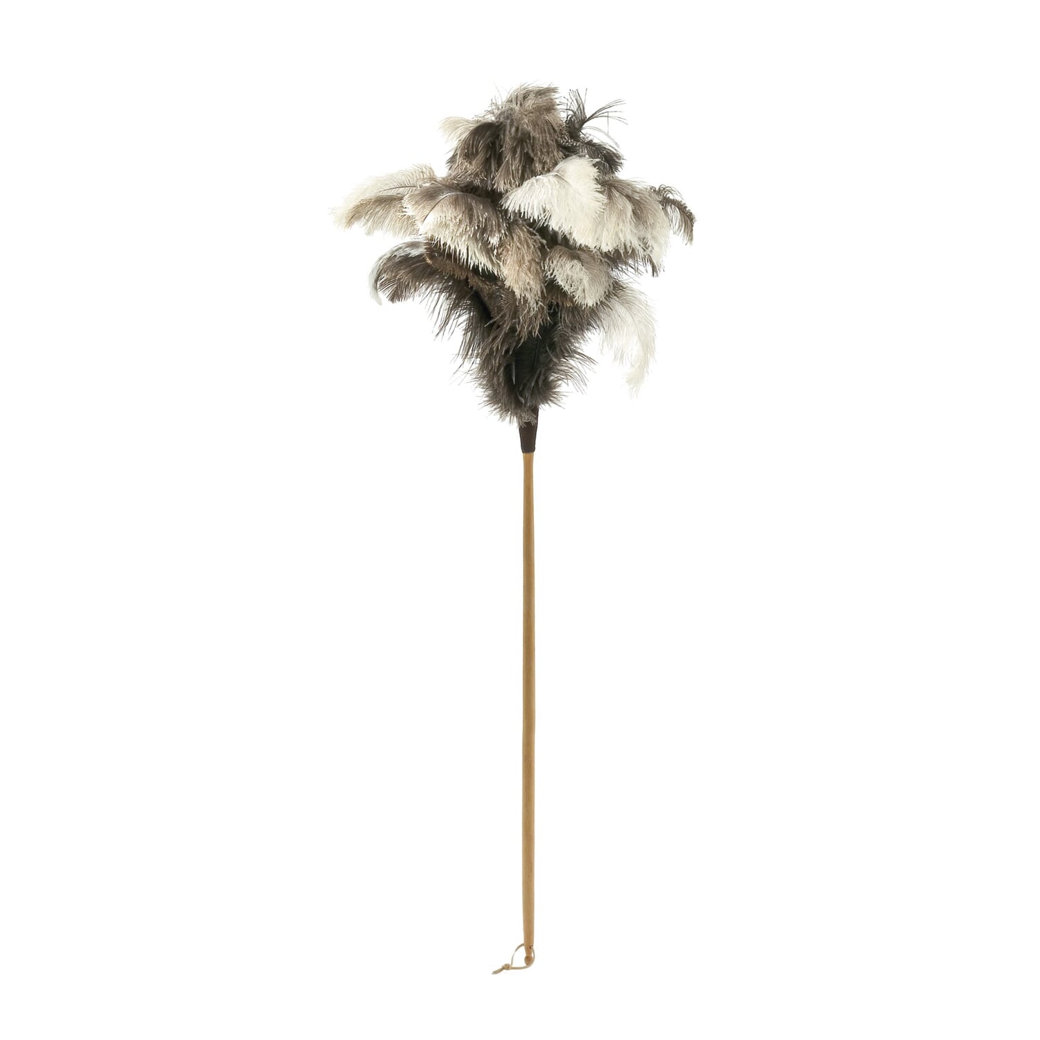 Feather duster ostrich feather