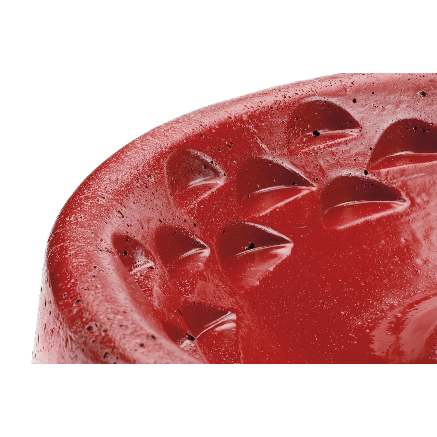 Bird and insect watering hole wood concrete