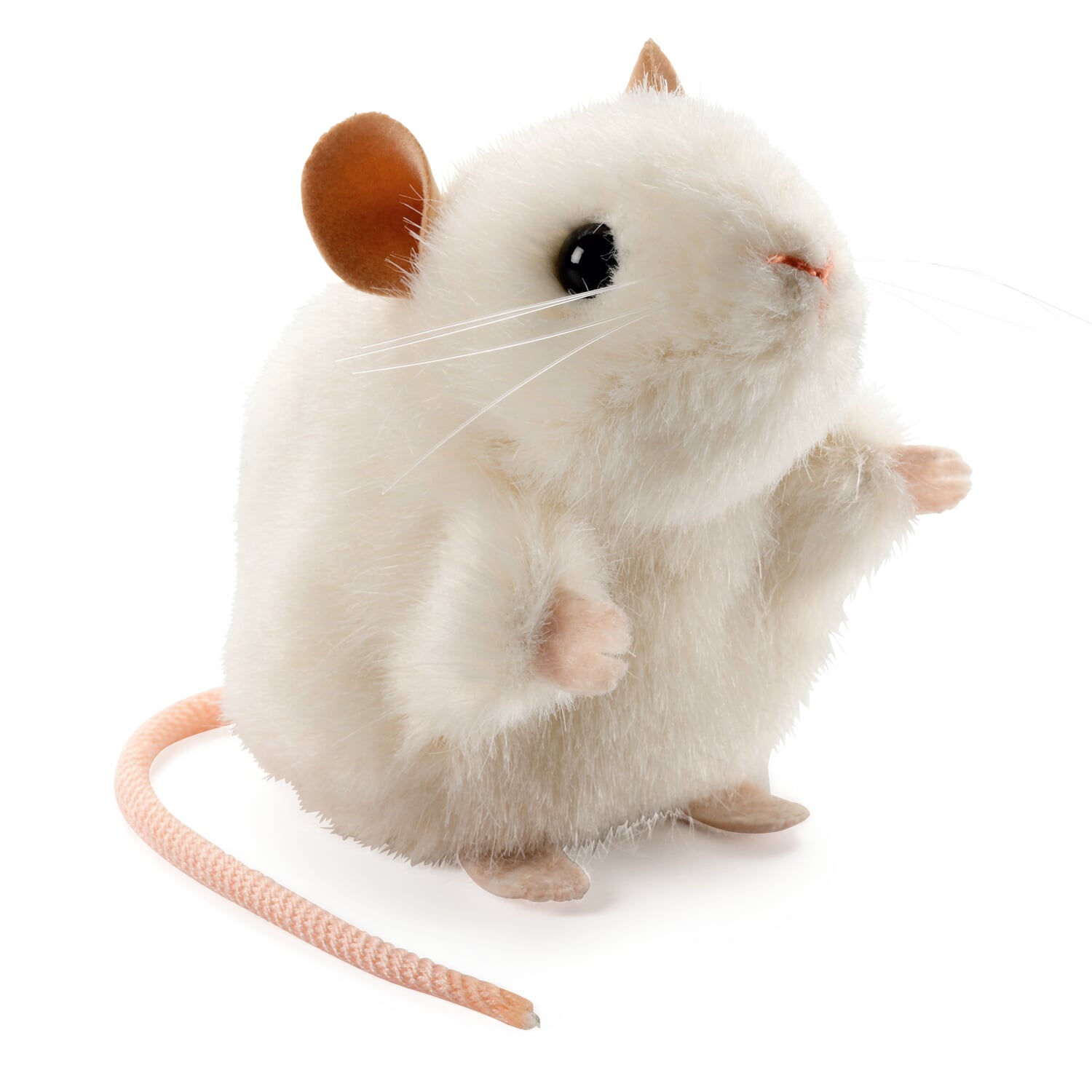 C?sen white mouse