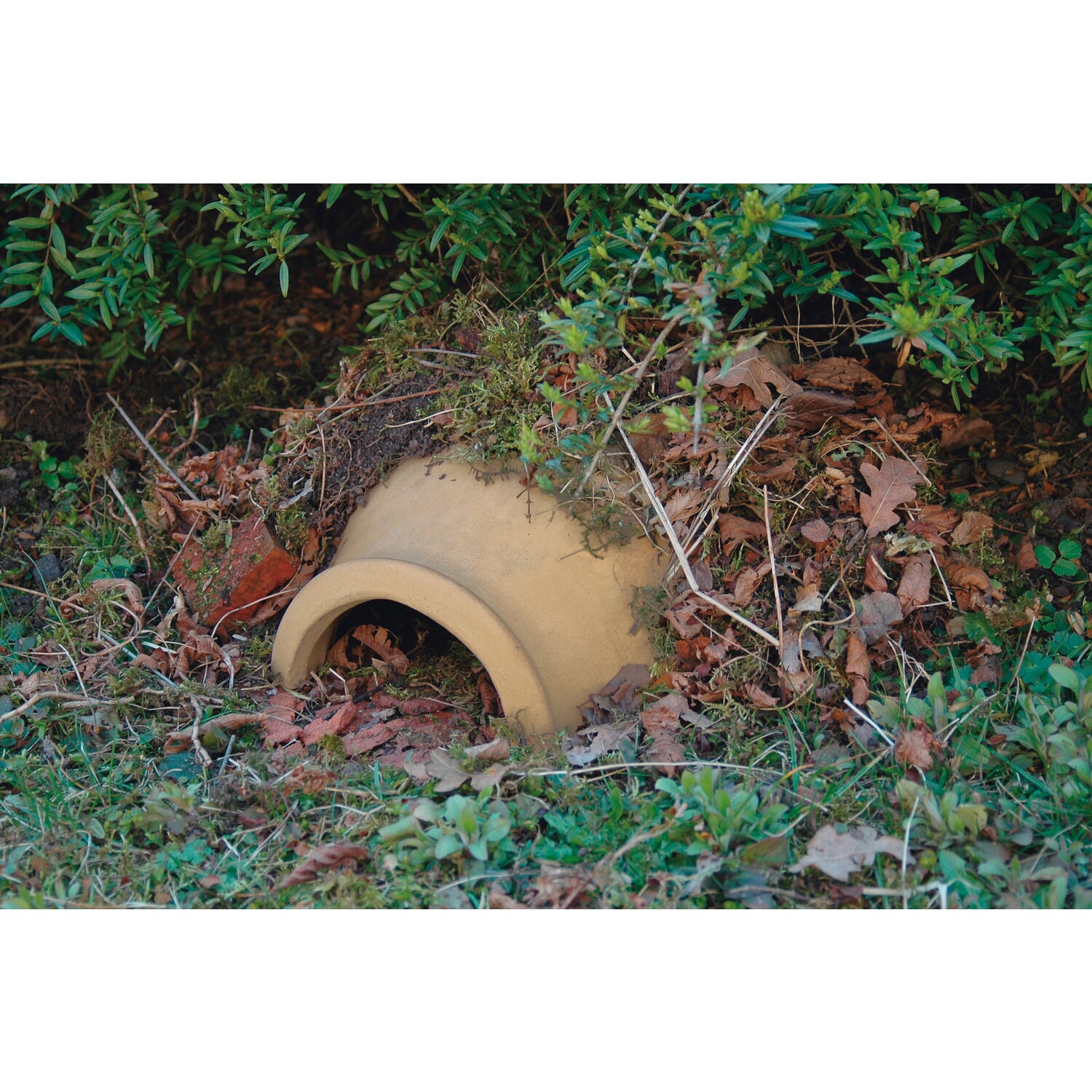 Hedgehog house ceramic