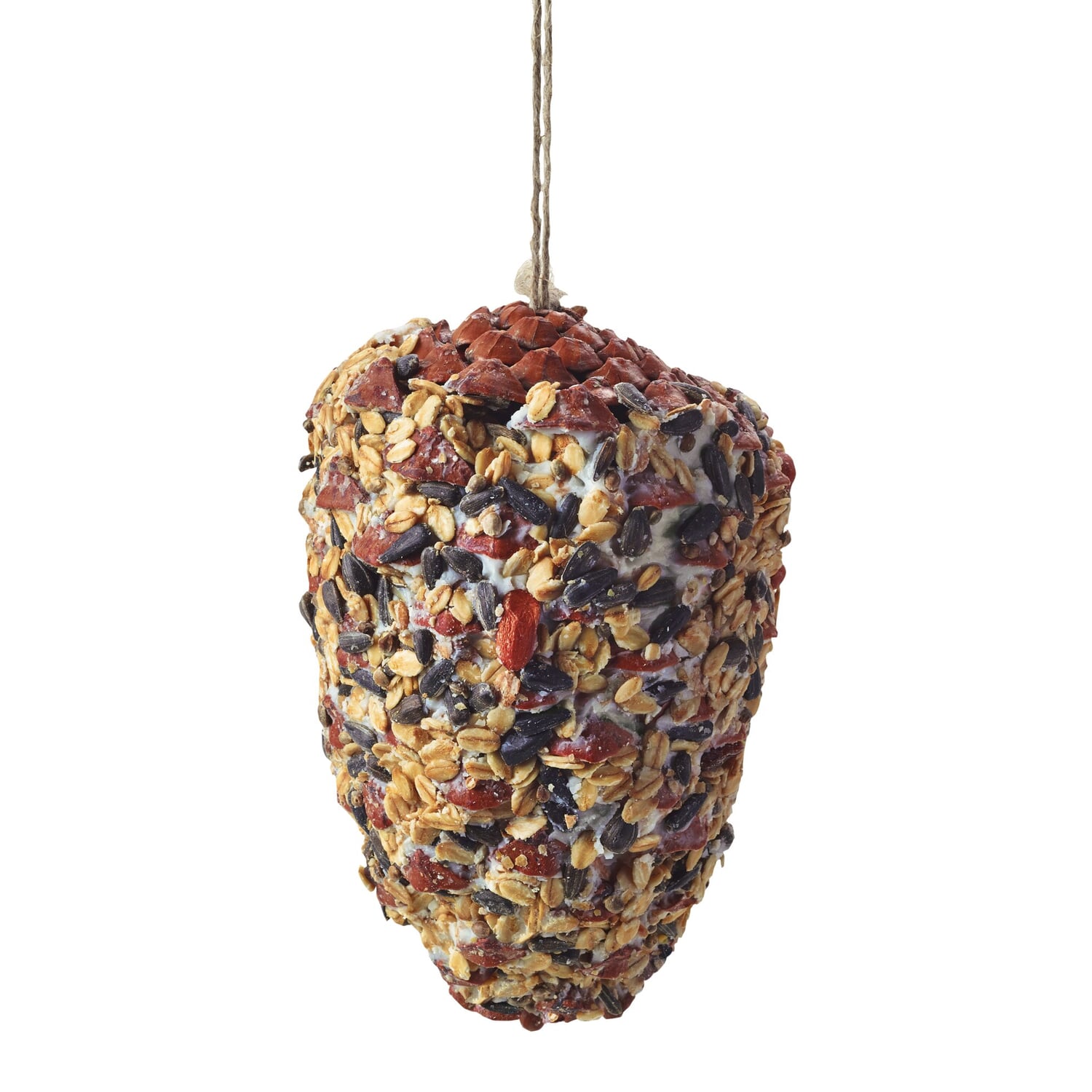 Pine Cone Bird Feeder