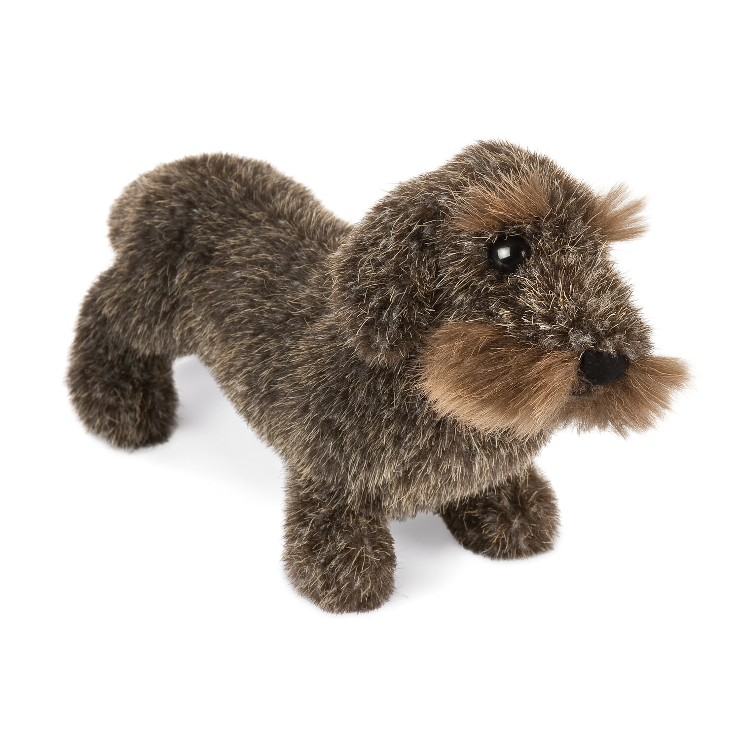 K?sen Roughhaired Dachshund