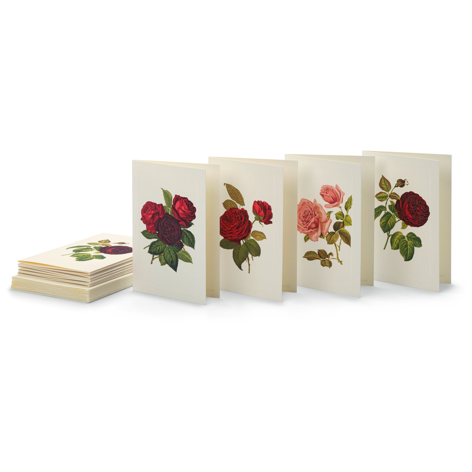 Greeting card roses