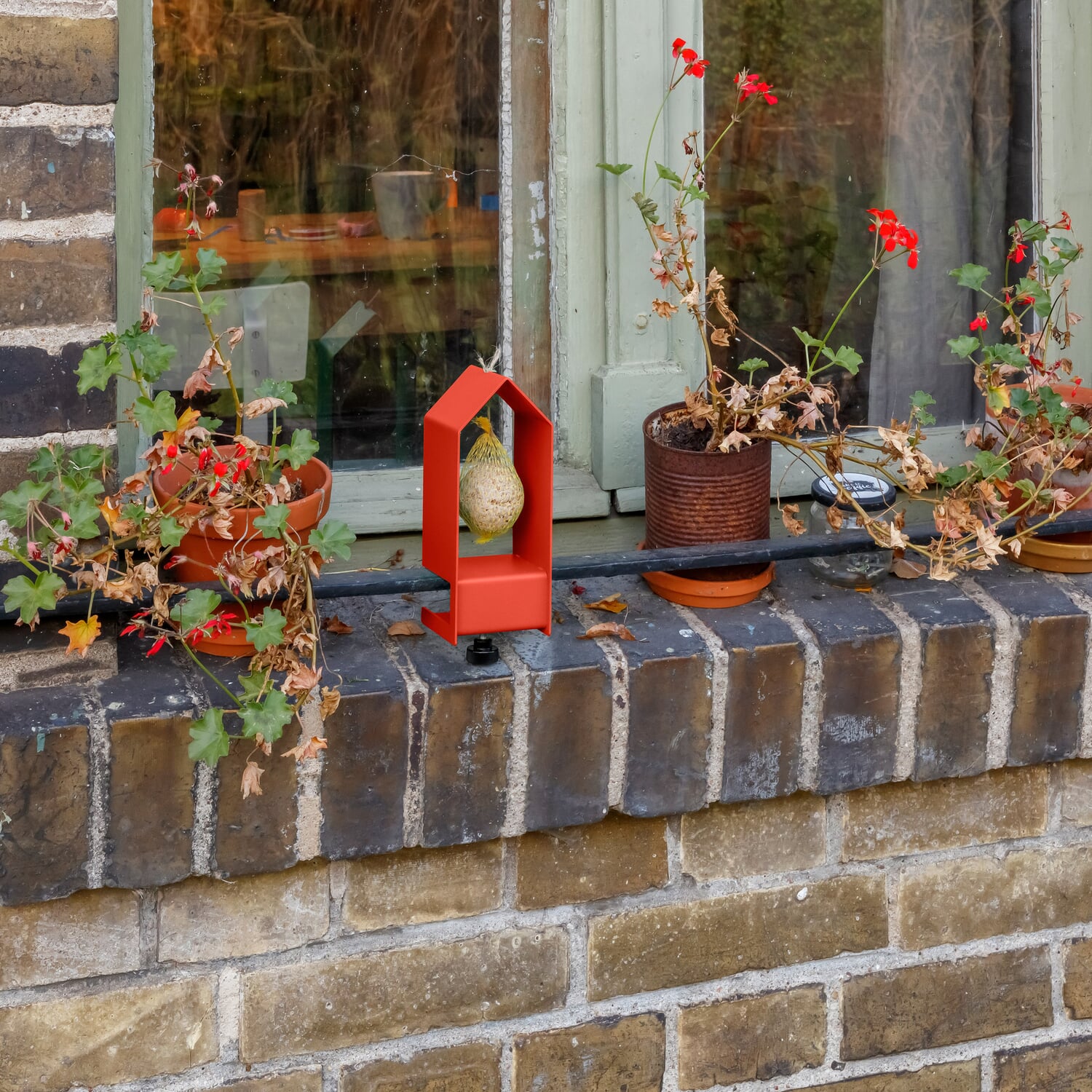 Tinybird bird feeder