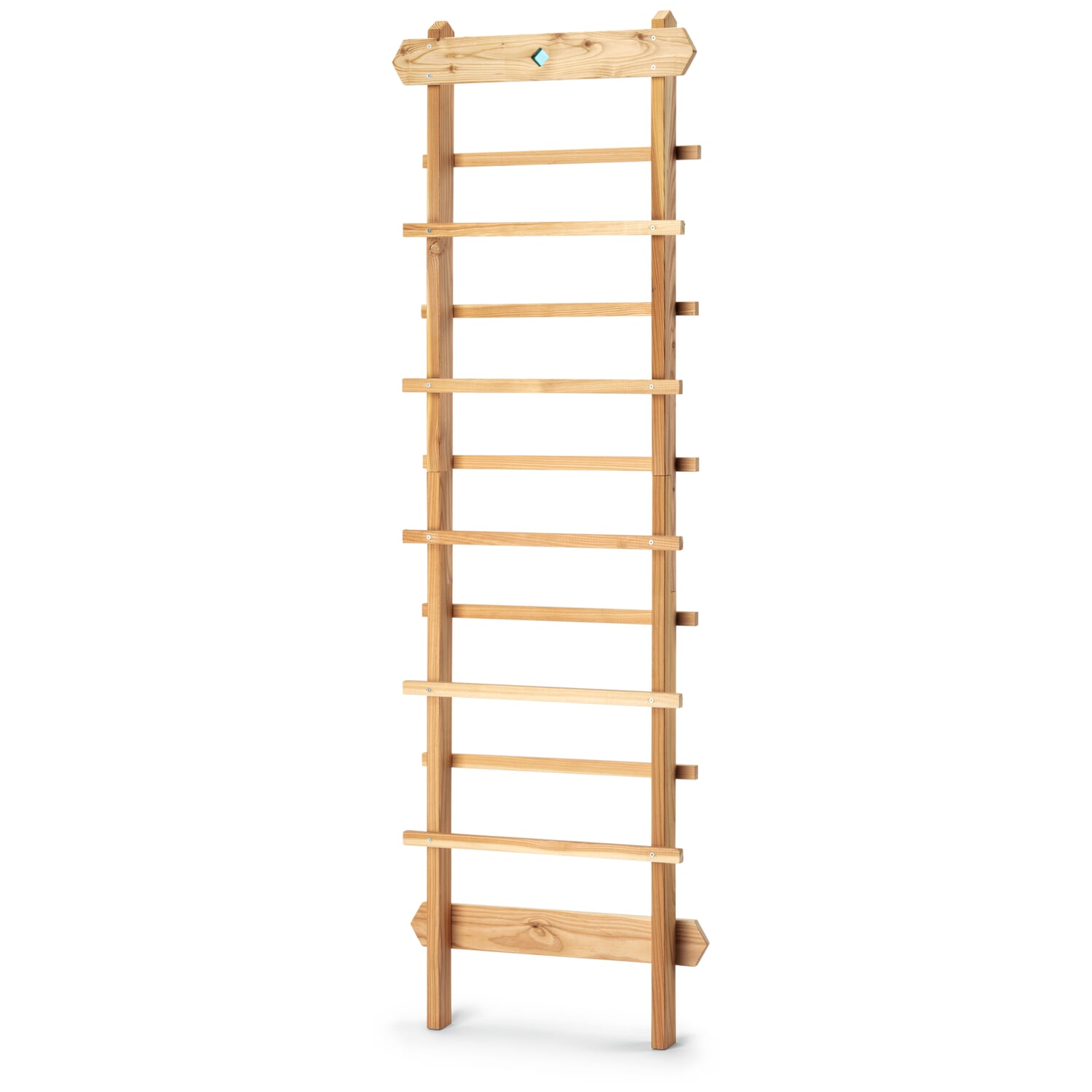 Ladder climbing object
