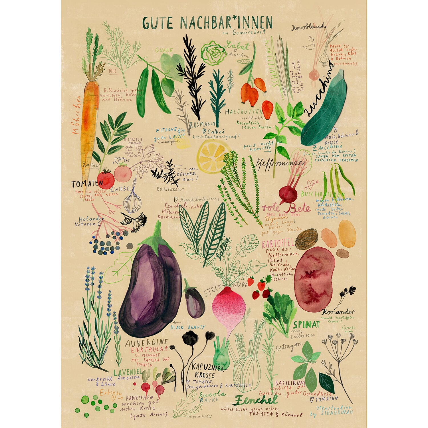 Good Neighbors Puzzle