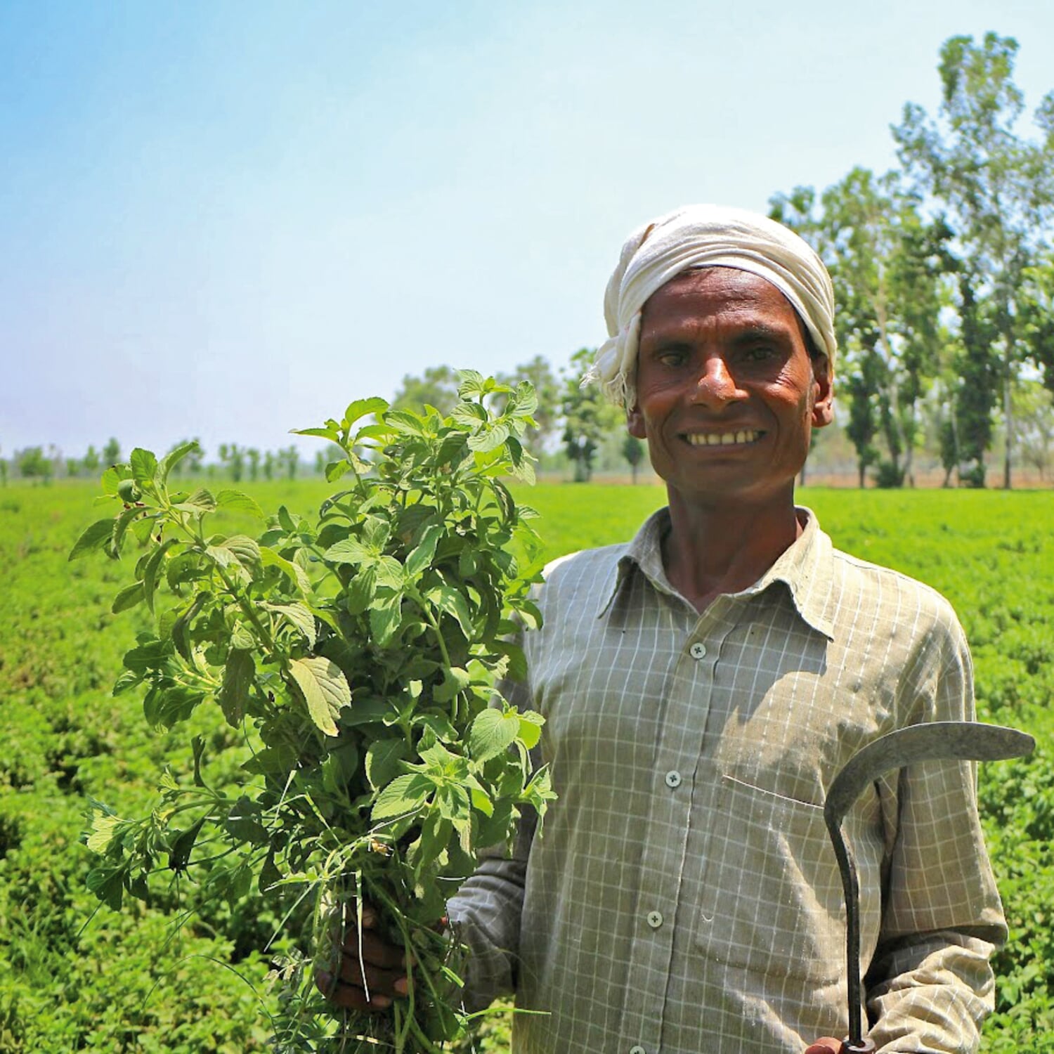 Dr. Bronner’s Shower gel