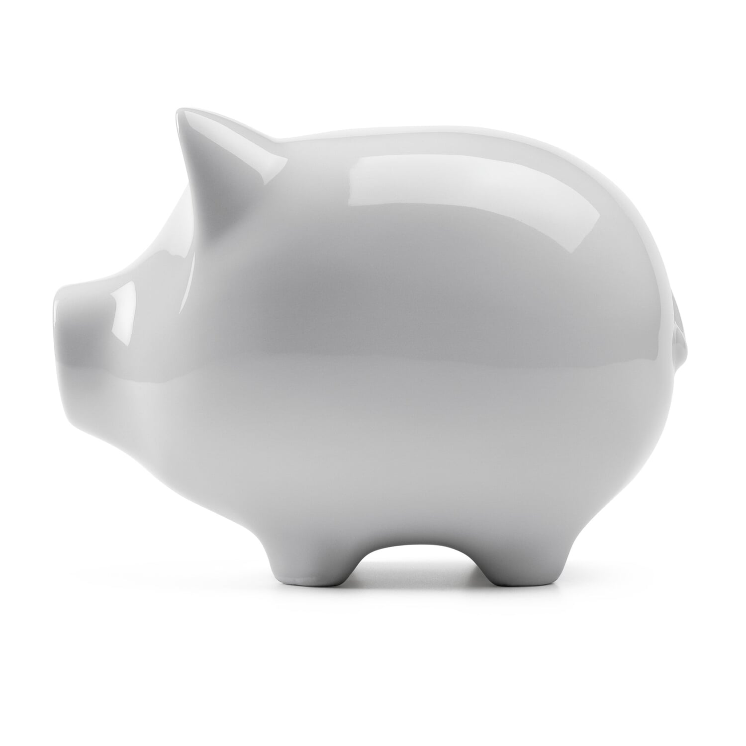 Piggy bank conservative