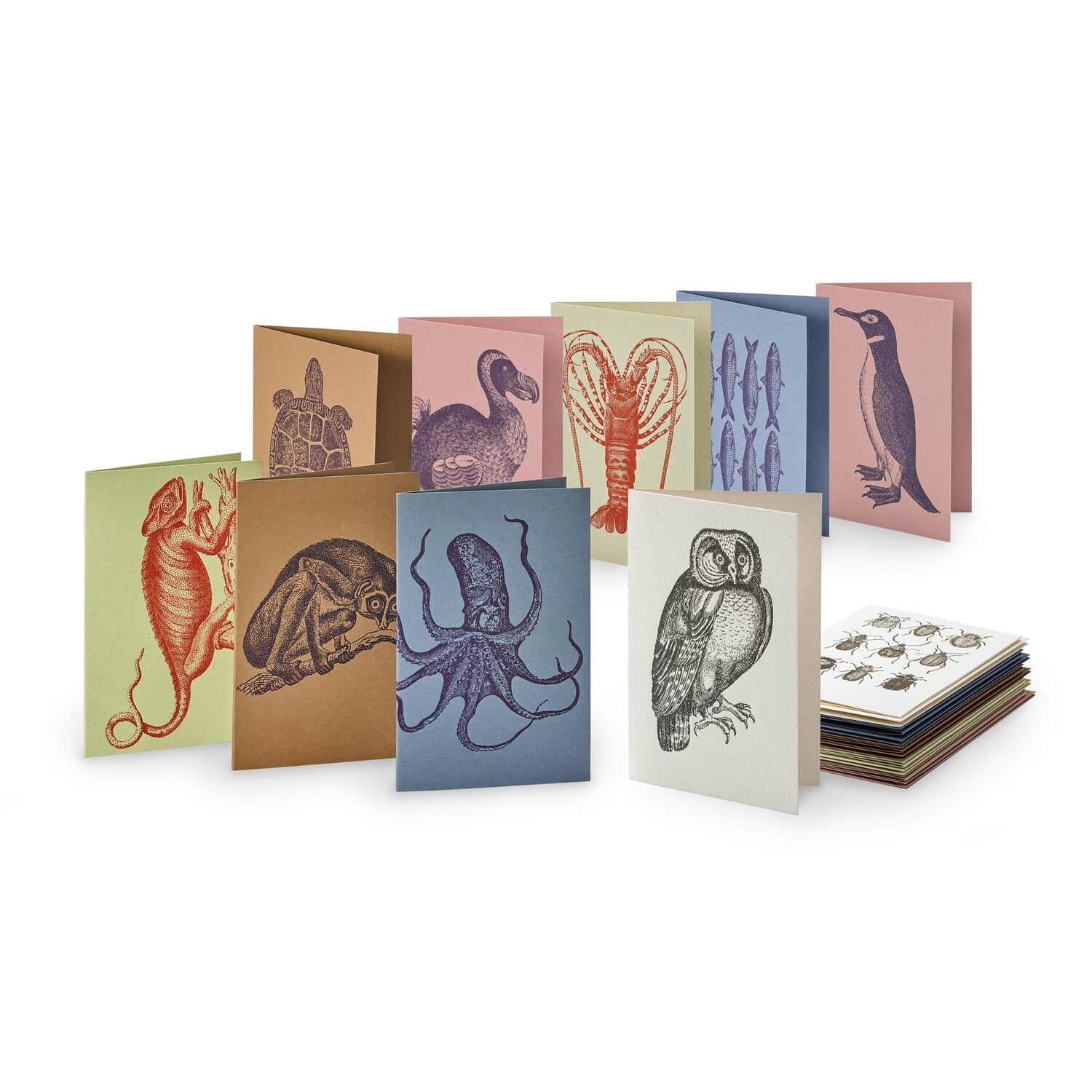 Greeting cards animal motifs sorted