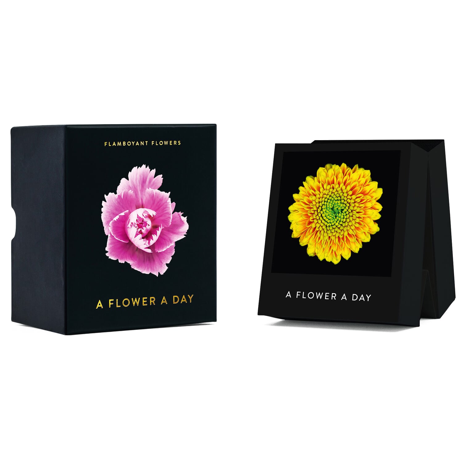 Annual calendar Flamboyant Flowers