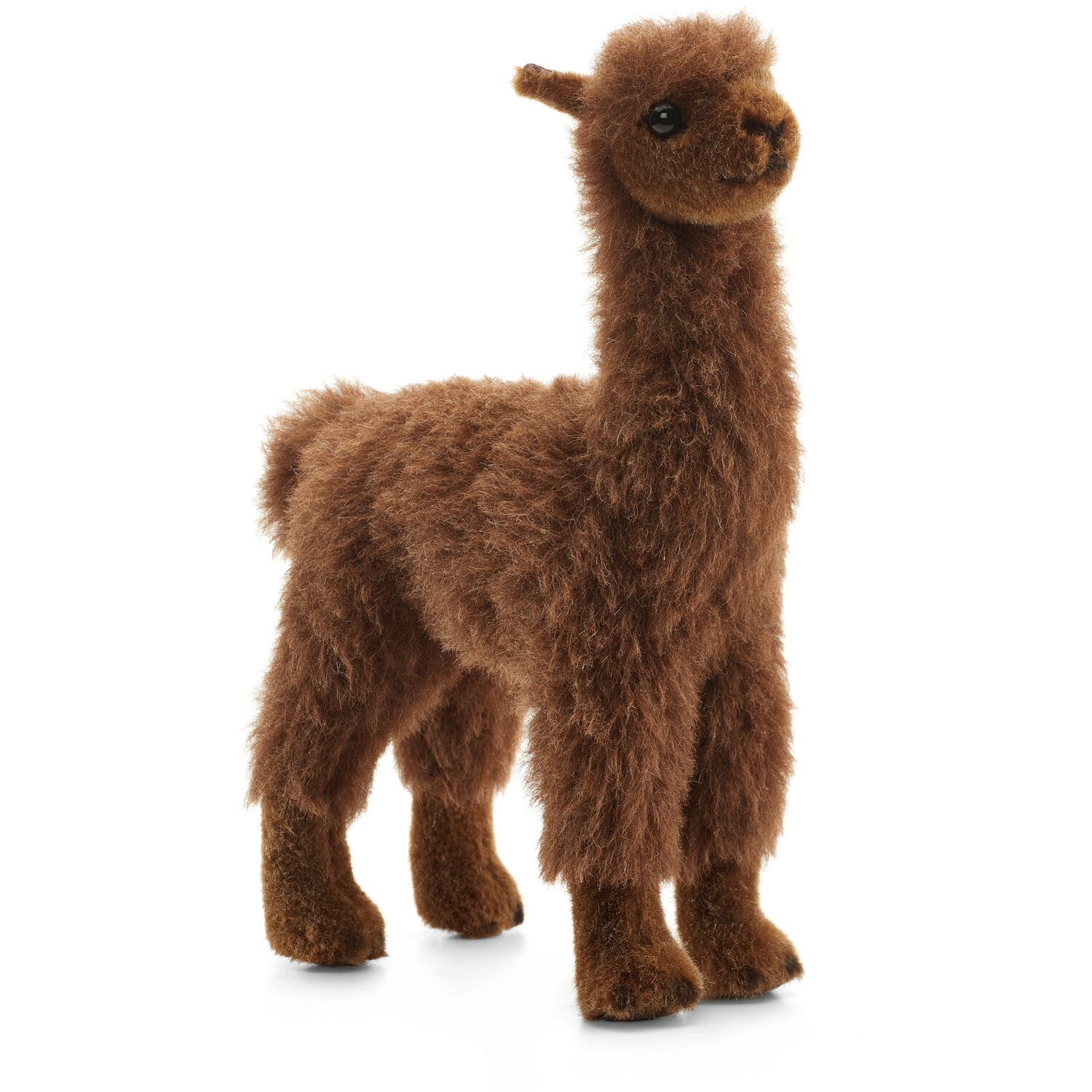 K?sen alpaca