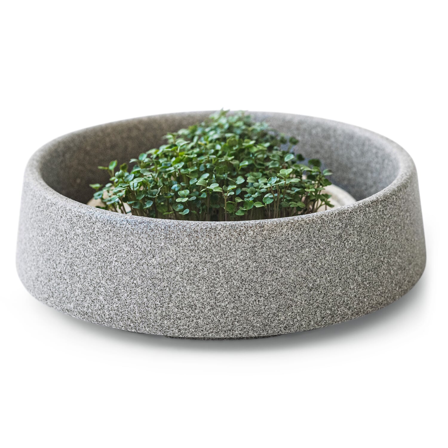 Growing tray for microgreens