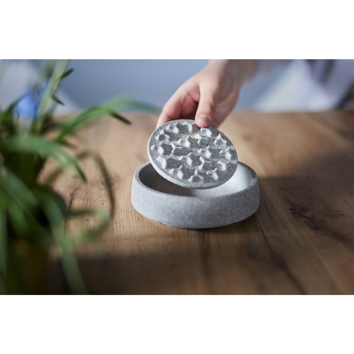 Anti-snare insert for cat bowl