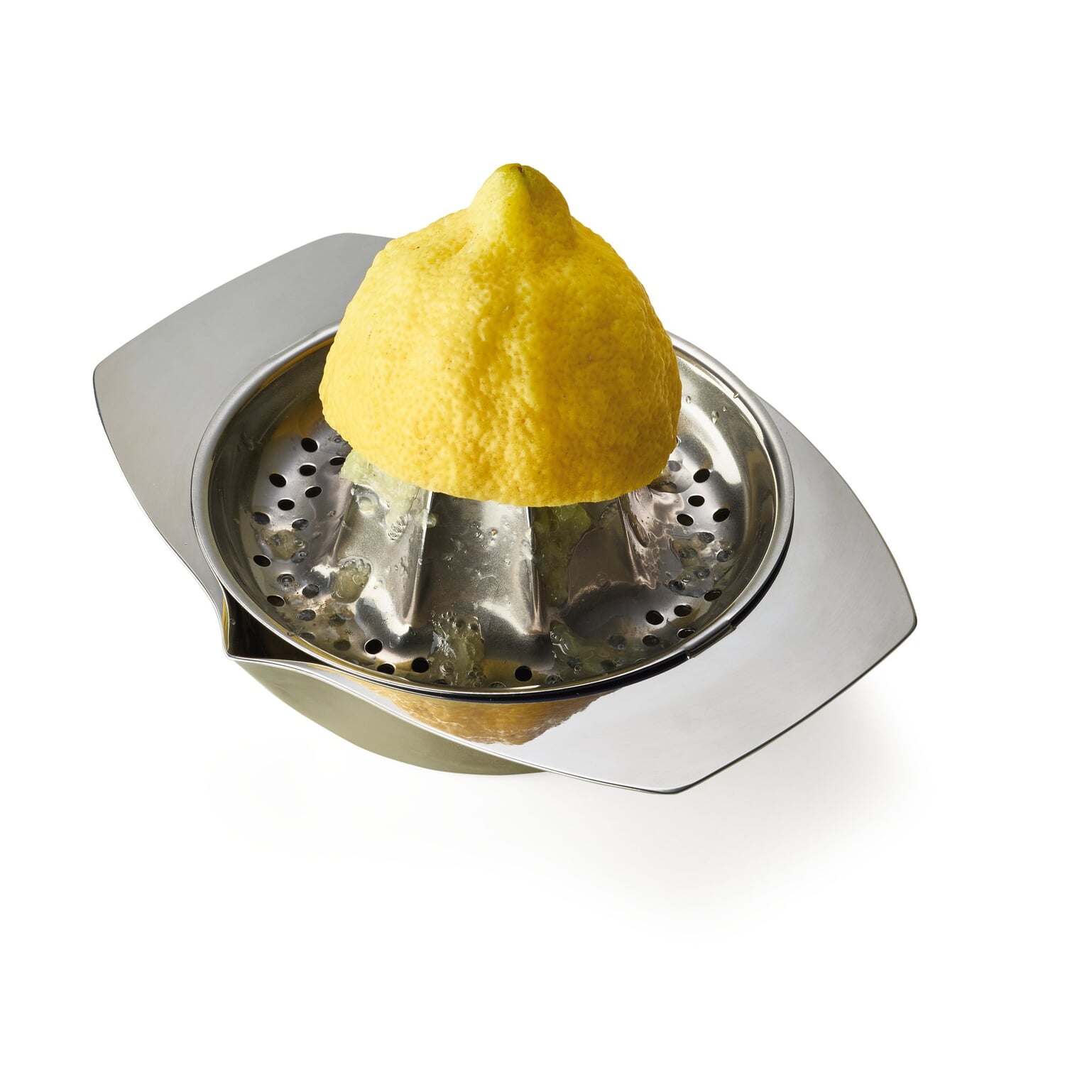 Citrus juicer stainless steel