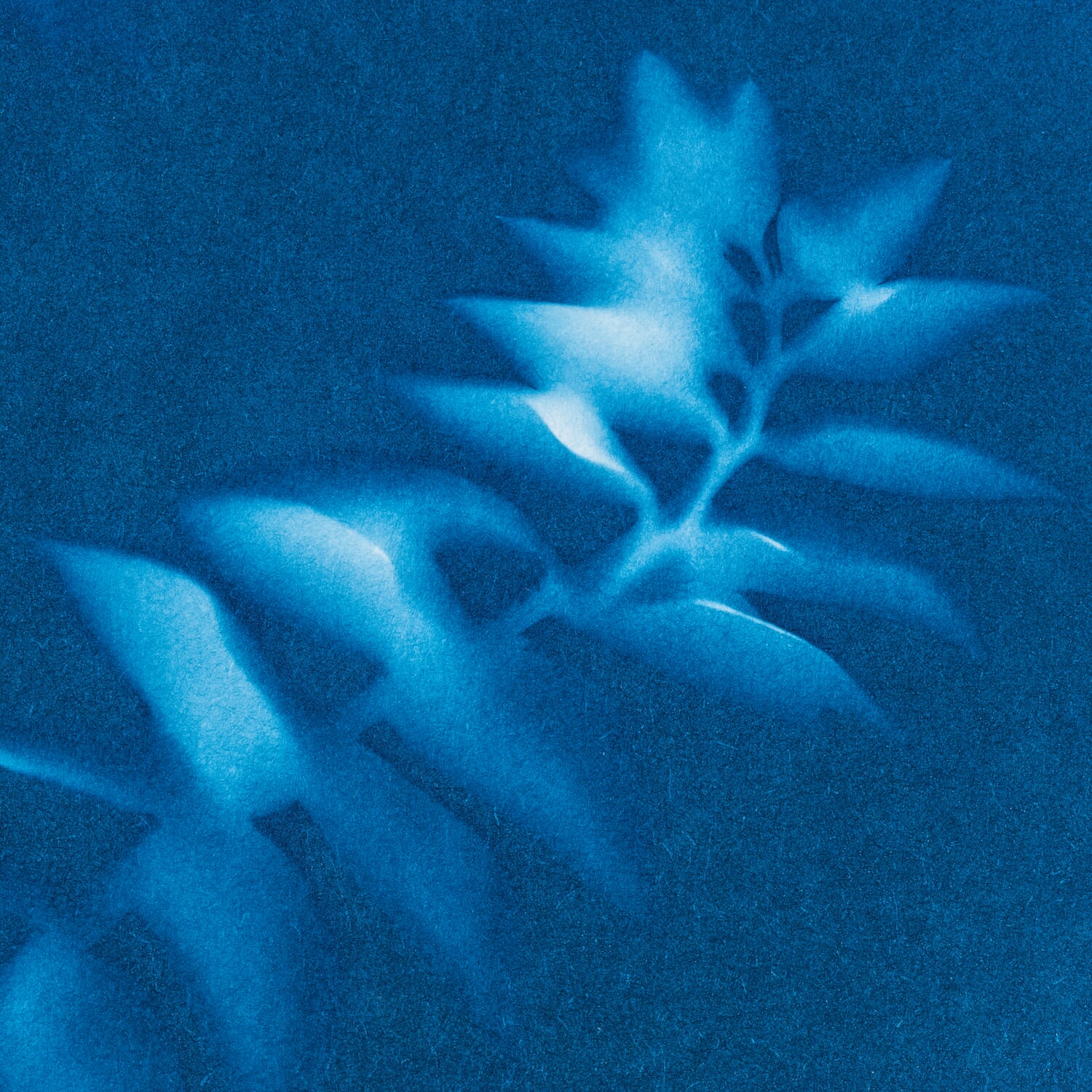 AstroMedia Cyanotype Paper