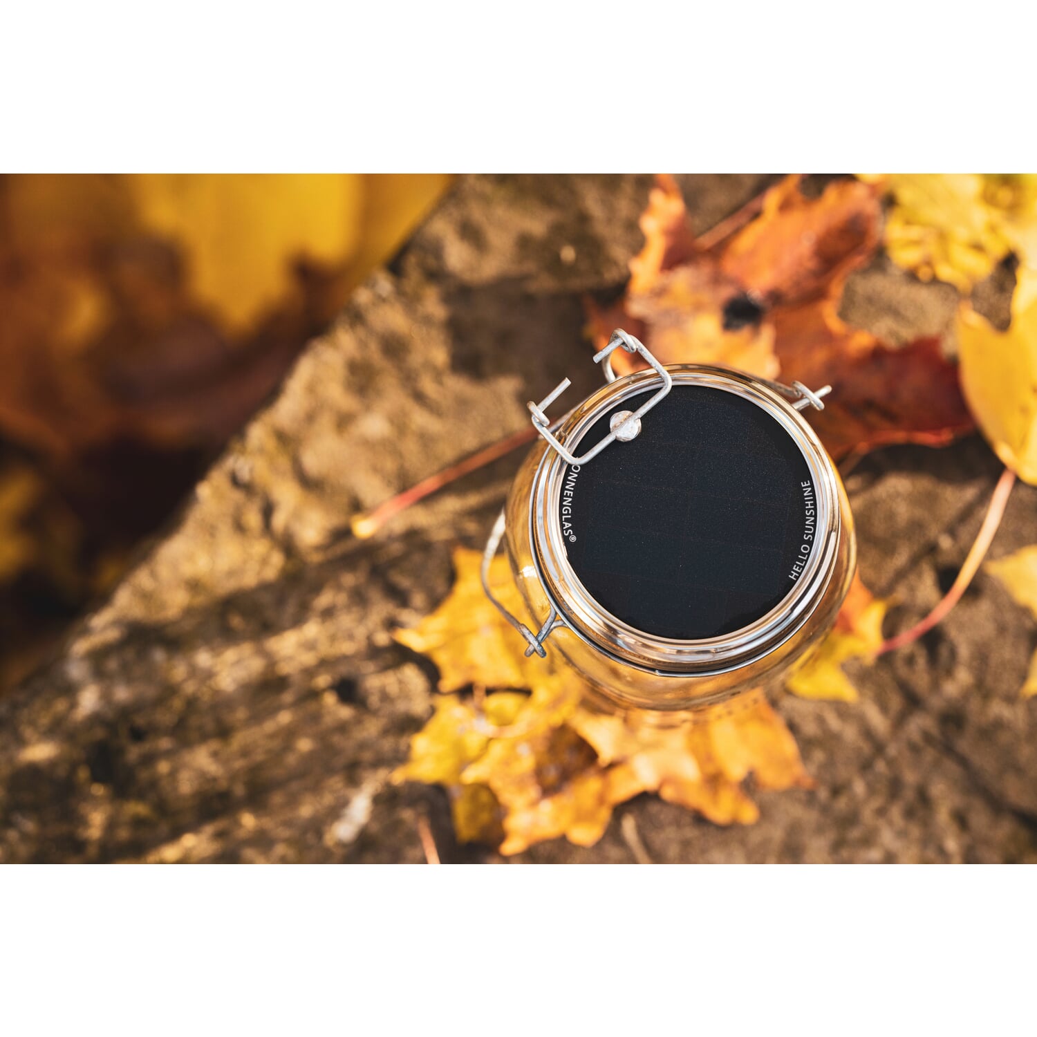 Table lamp Sun Glass?