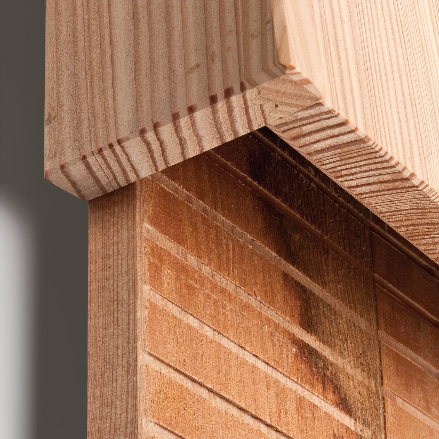 Bat roost larch wood