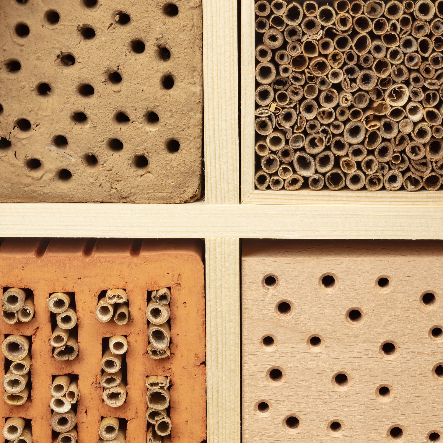 Insect house spruce wood