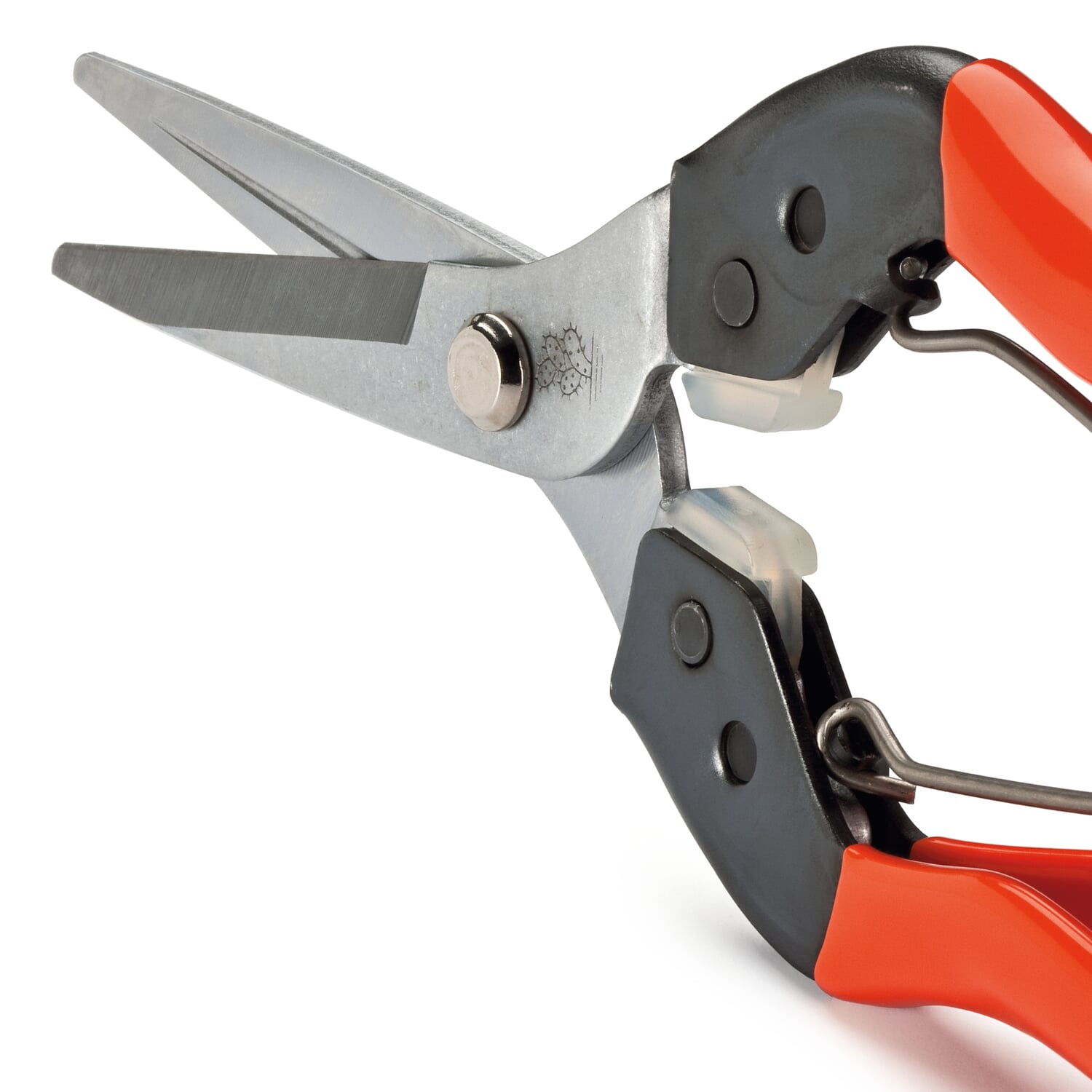 Japanese flower and household scissors