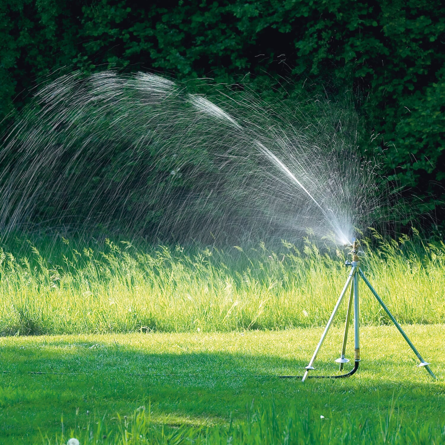 Circle sprinkler brass