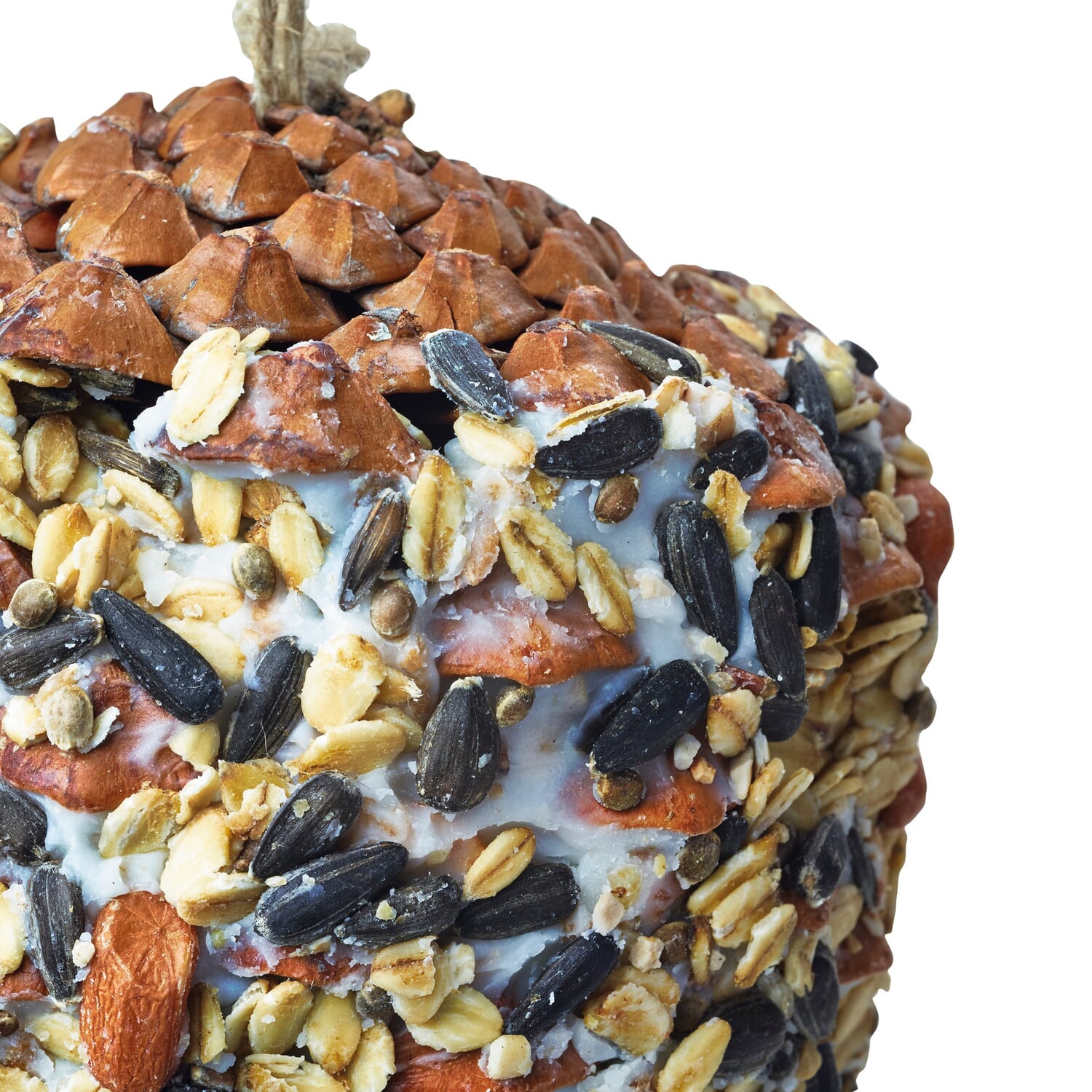 Pine Cone Bird Feeder