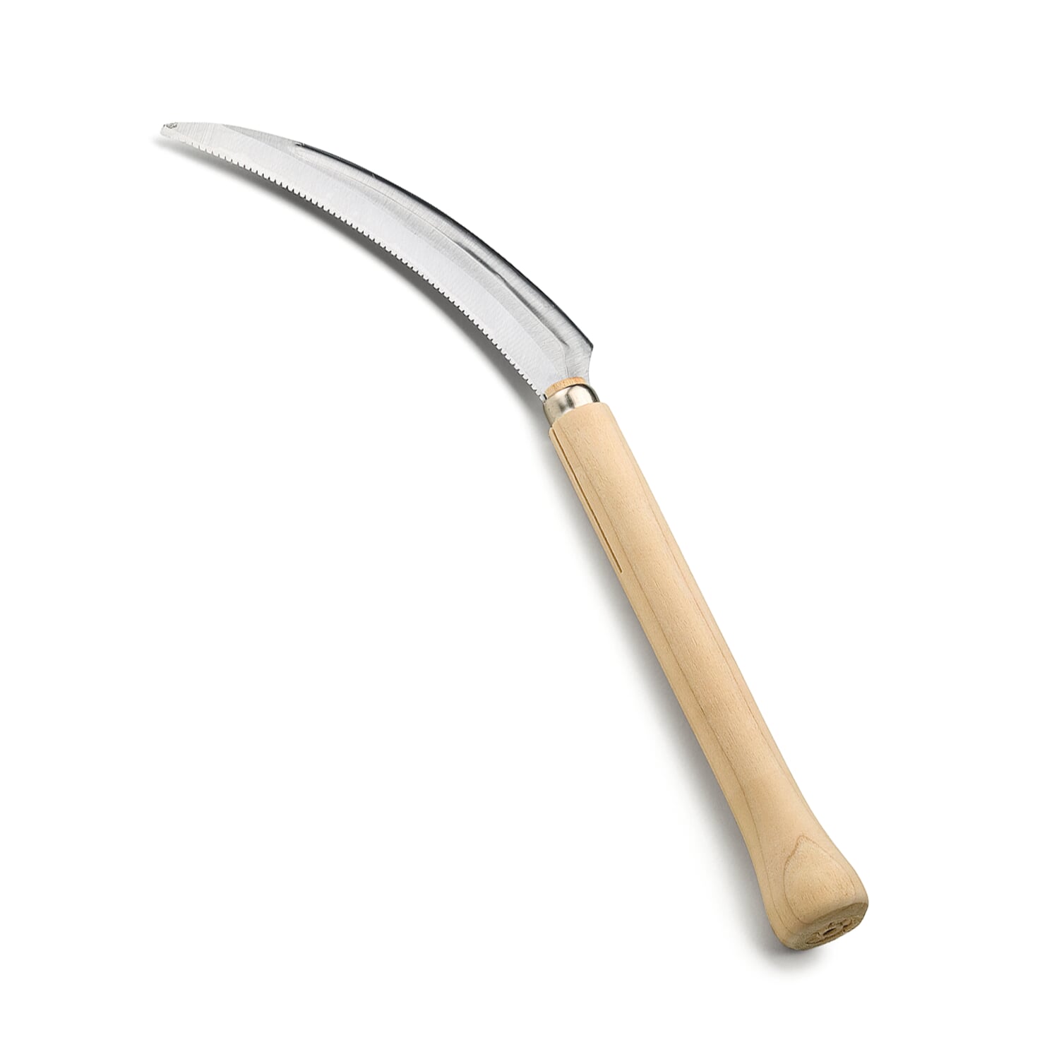 Japanese perennial crescent