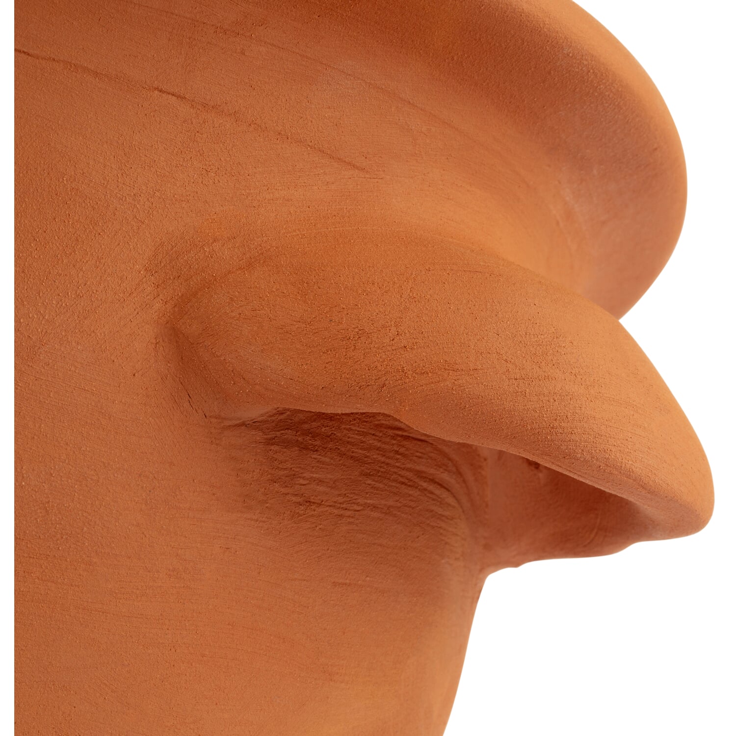 Tulip pot terracotta