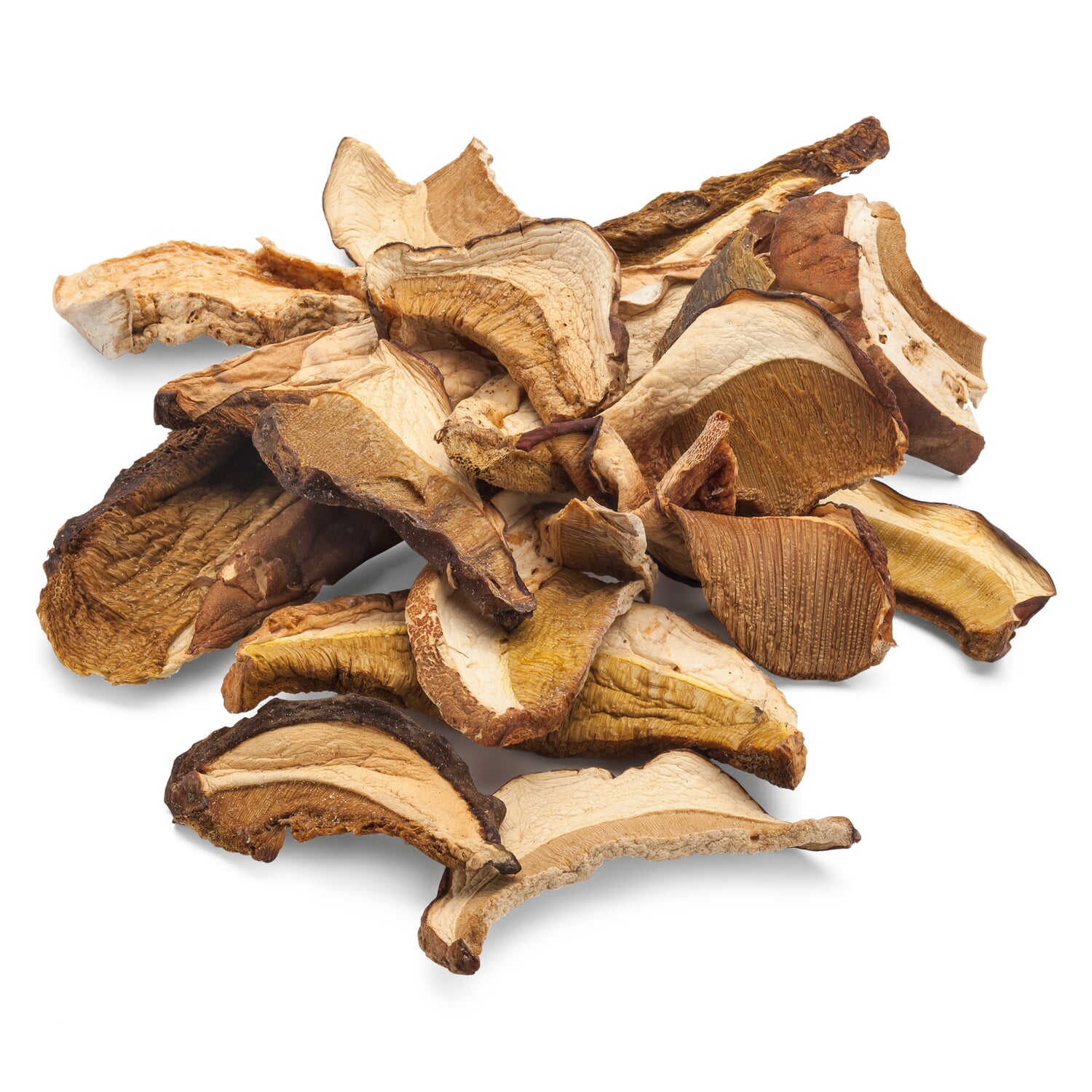 Porcini mushrooms from Piedmont