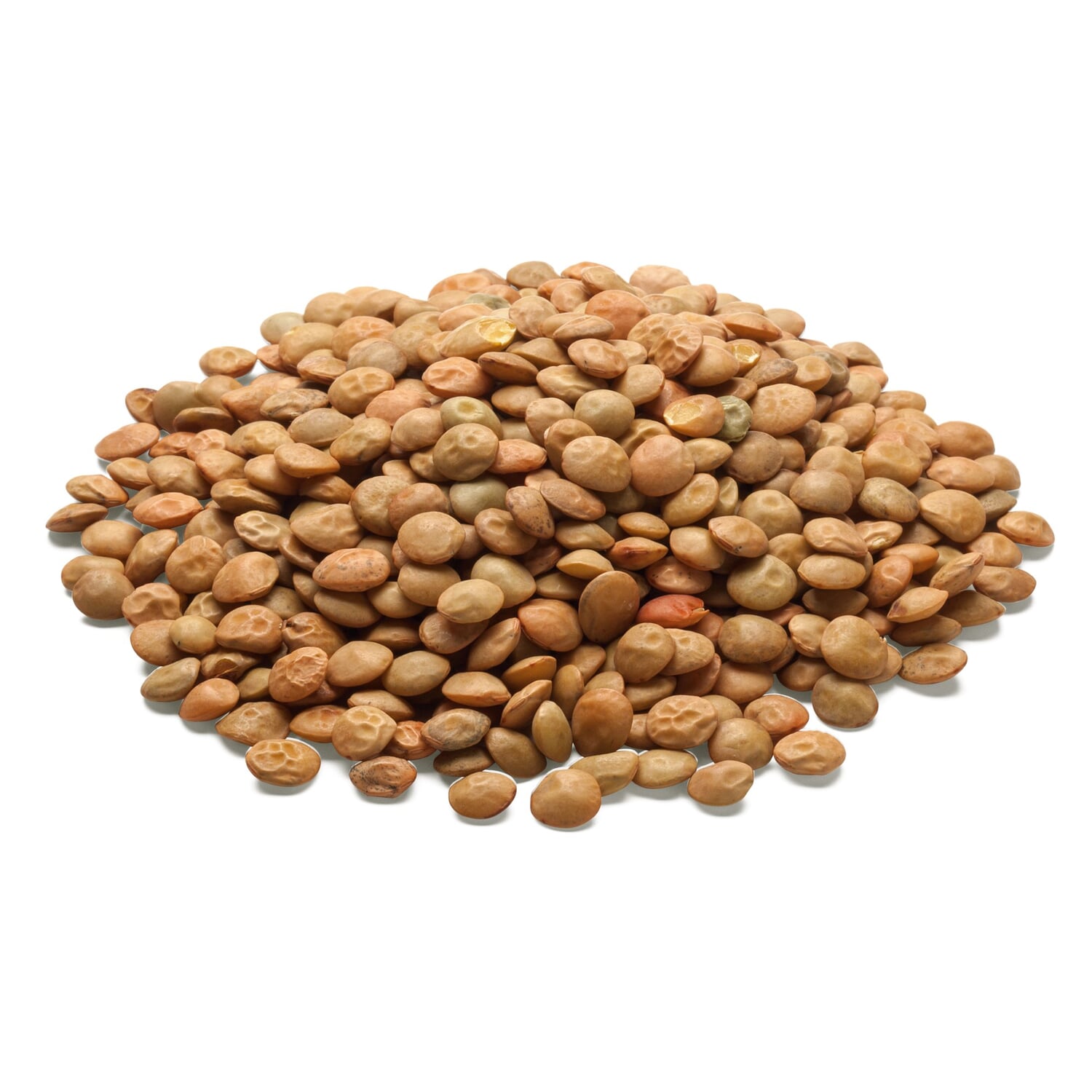 Organic Alb-Leisa Sp?th's Alblinse large