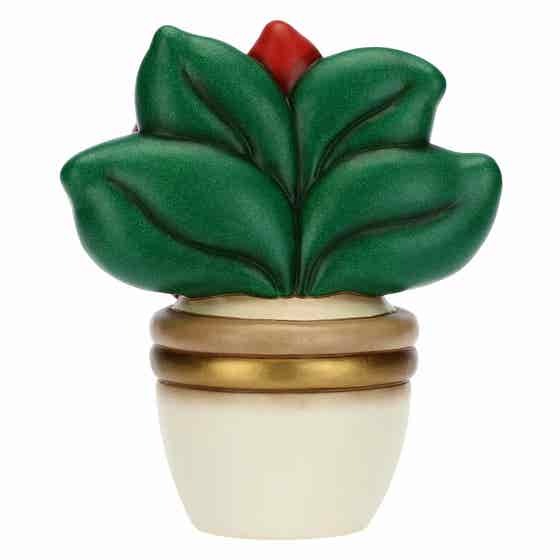 Christmas star flowerpot, maxi