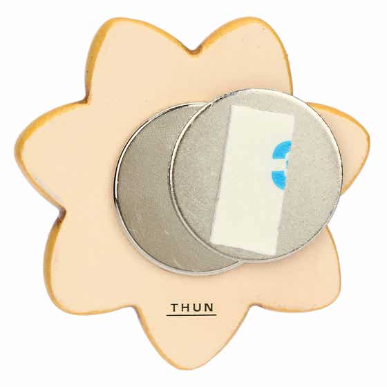 Country ceramic magnets with sunflower