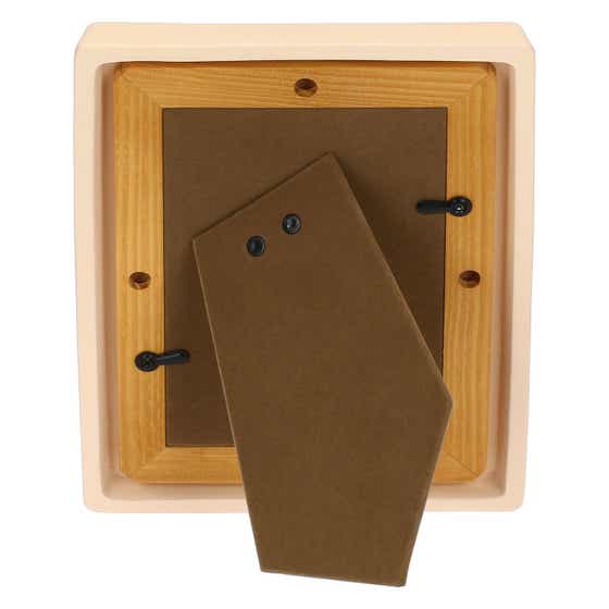 Pink Tulip Photo Frame, Medium