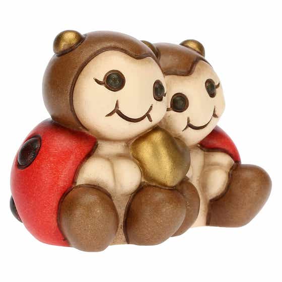 Ladybird couple with heart