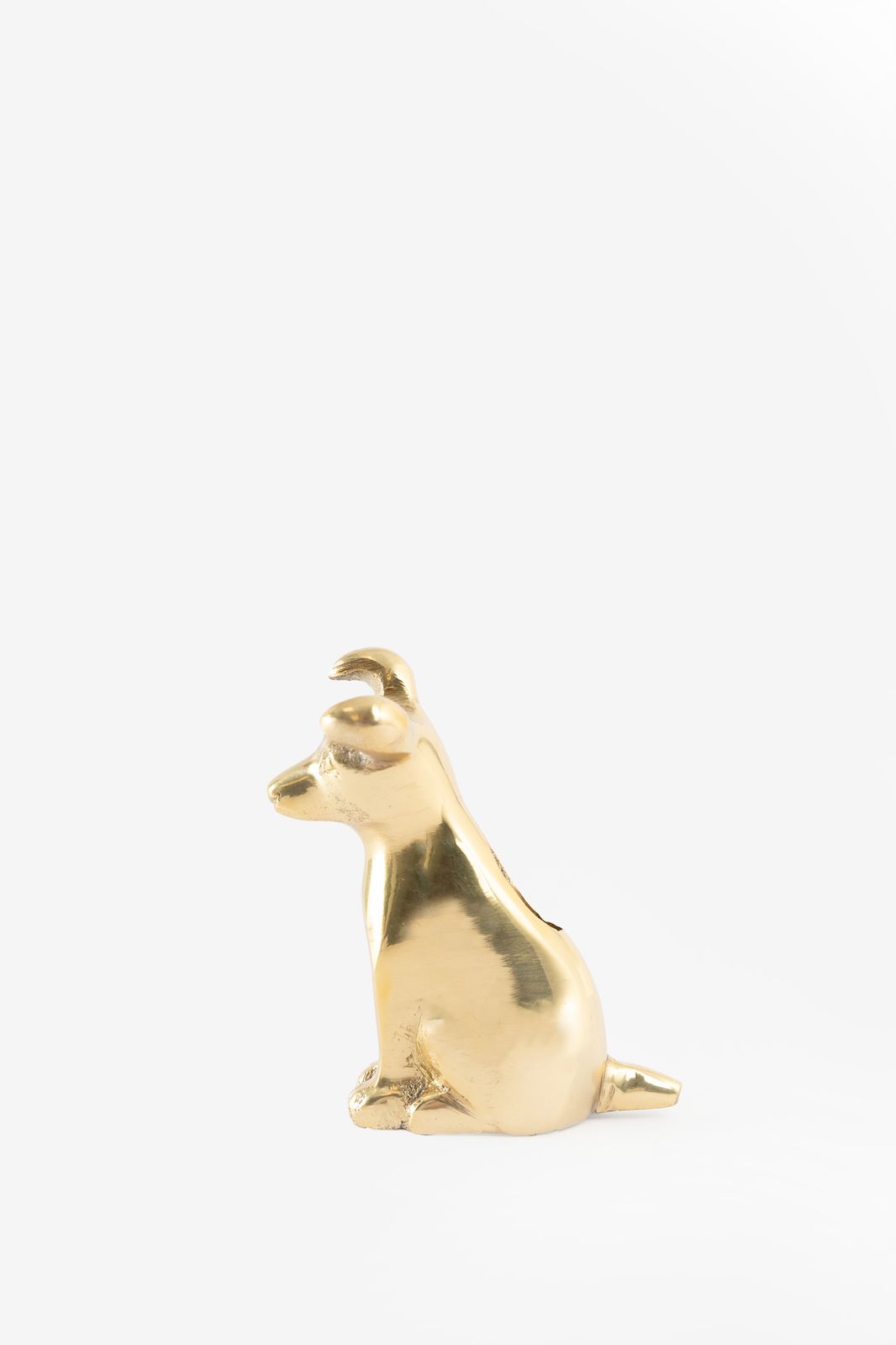 Goudkleurige kandelaar hond