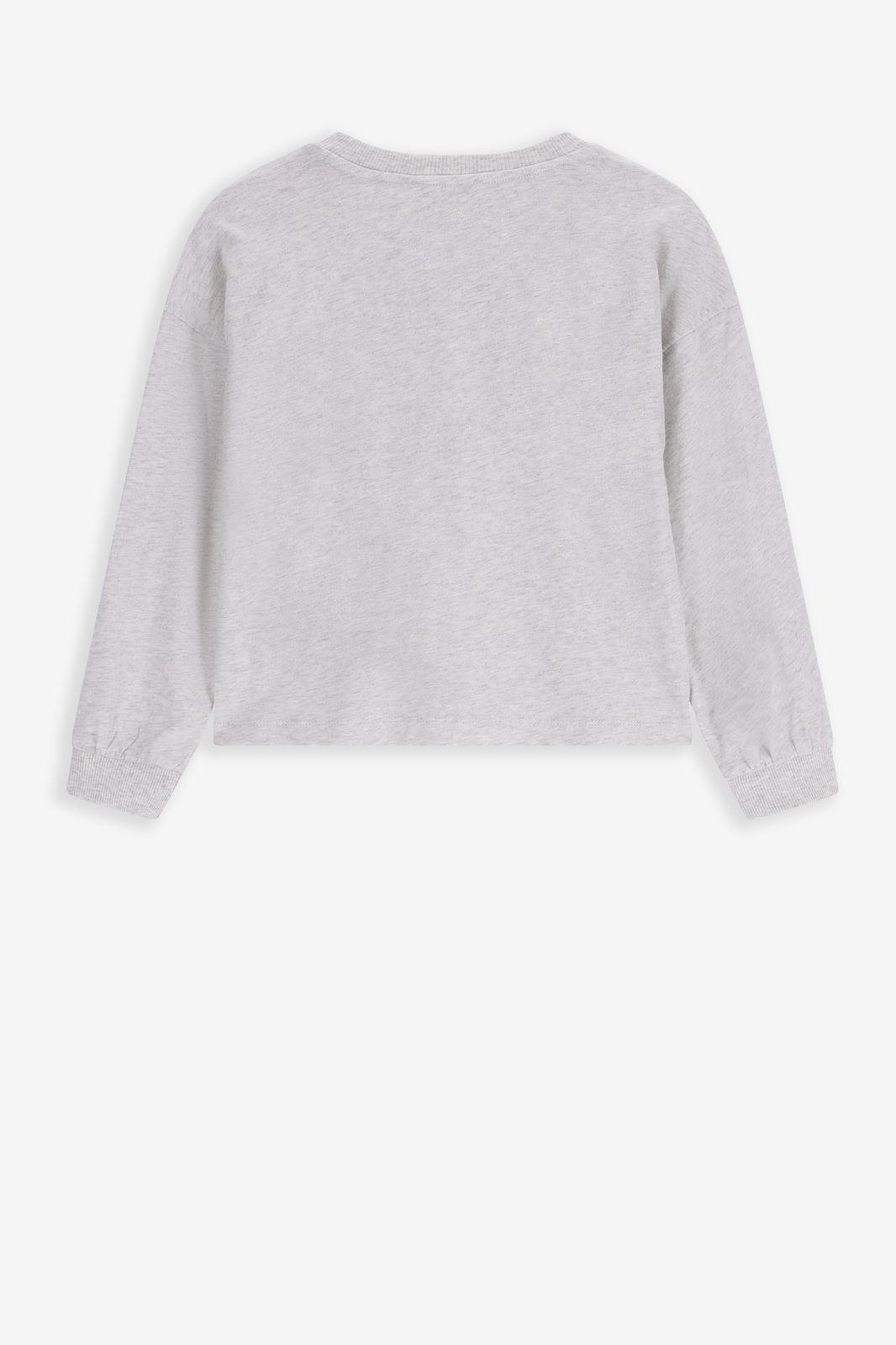 Grijze longsleeve met print