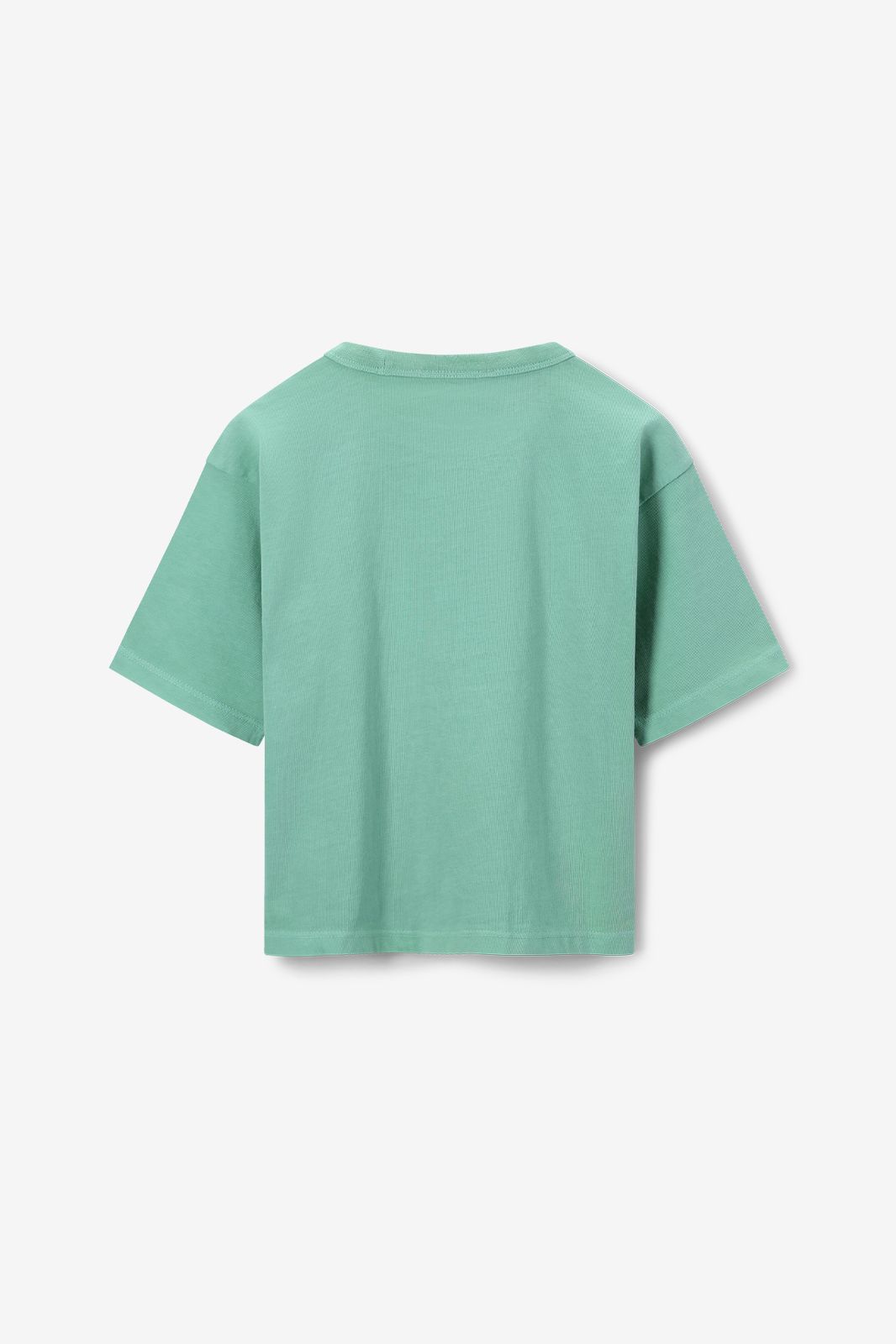 Groen T-shirt met citroen embroidery