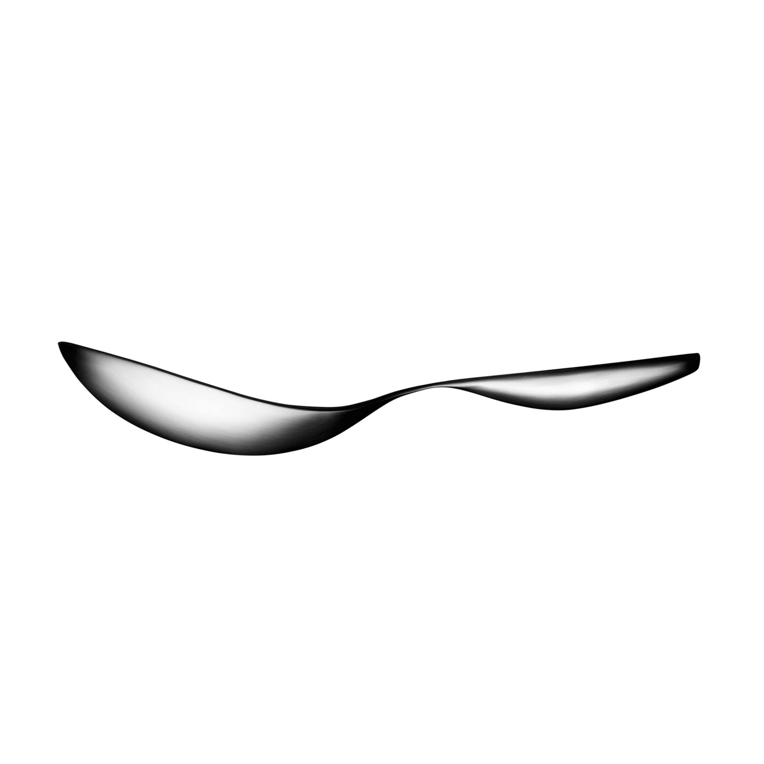 Collective Tools serving spoon small
