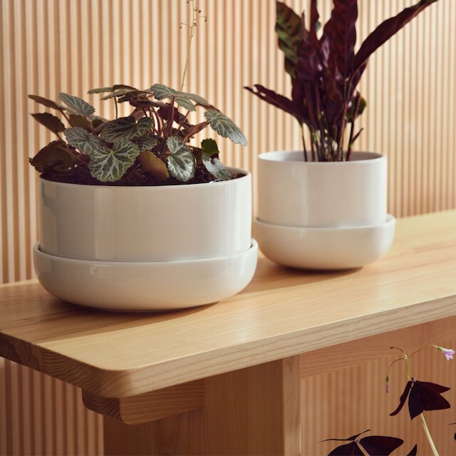 Nappula plant pot w,saucer beige 240x130