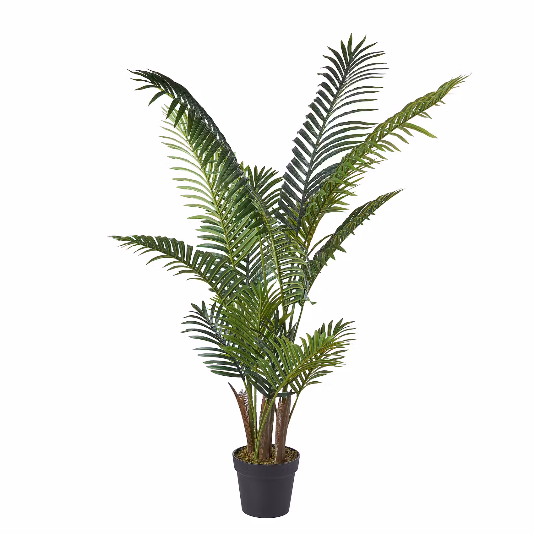 FLORISTA Kunstblume Farn